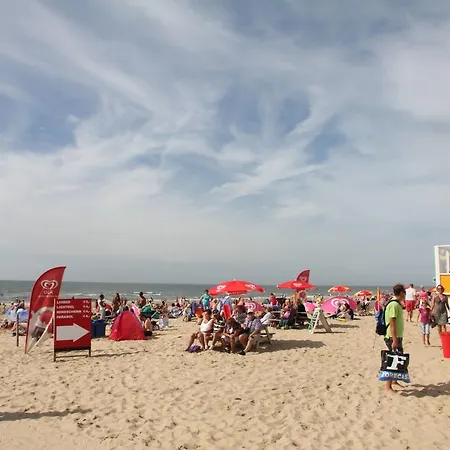 Gezelligheid In Egmond 16p * Egmond aan Zee